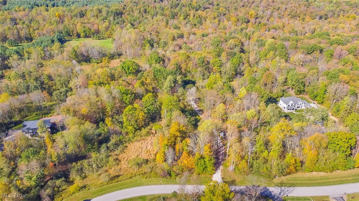 Dream Estates - Land