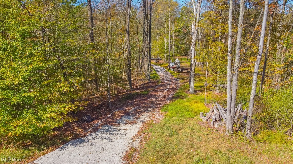 Dream Estates - Land