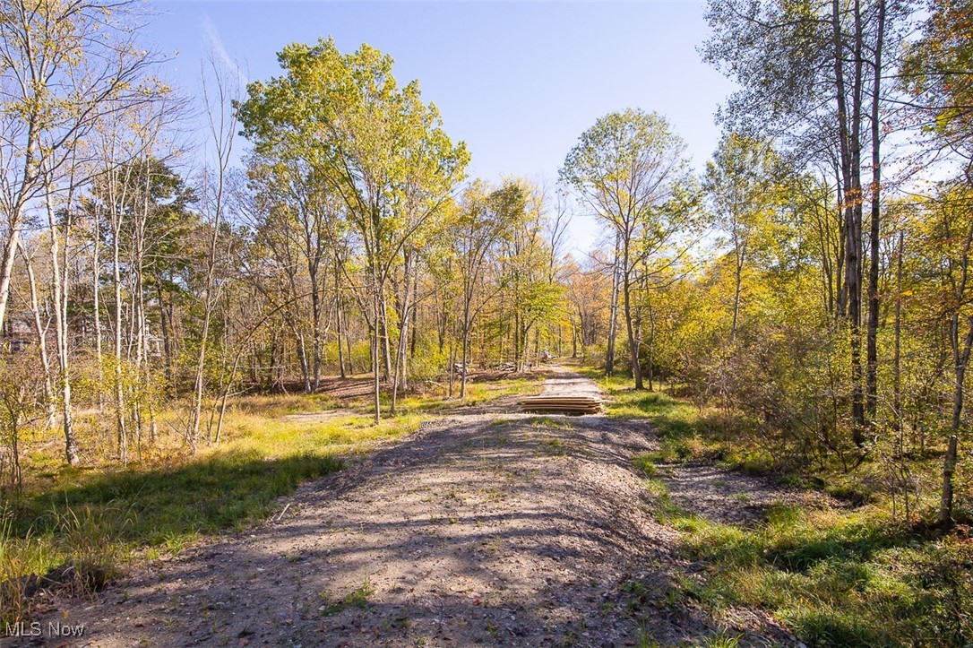 Dream Estates - Land