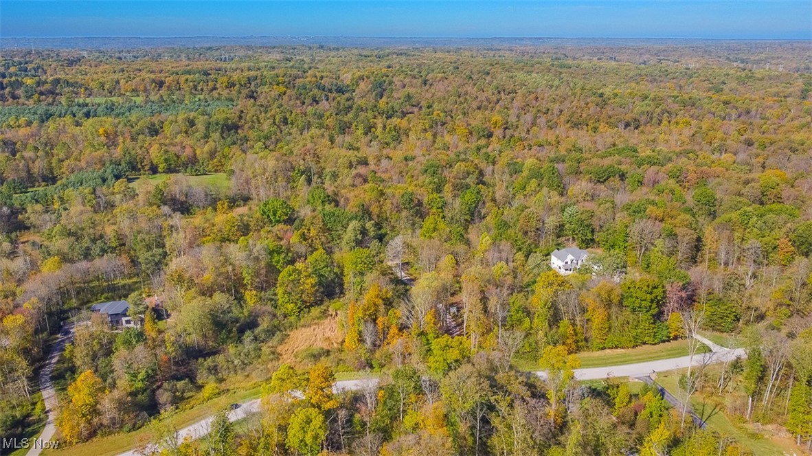 Dream Estates - Land