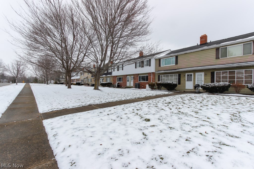 Hyde Park Condo - Residential