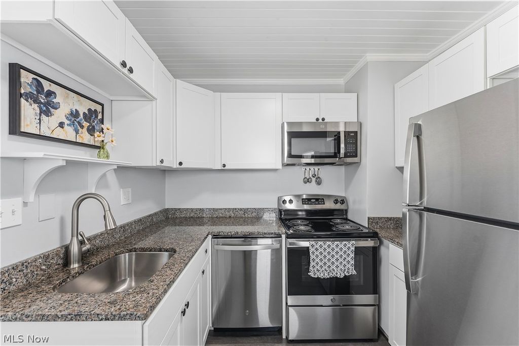 Photo of 439 Independence Street, Fairport Harbor, OH 44077 (MLS # 5213051)
