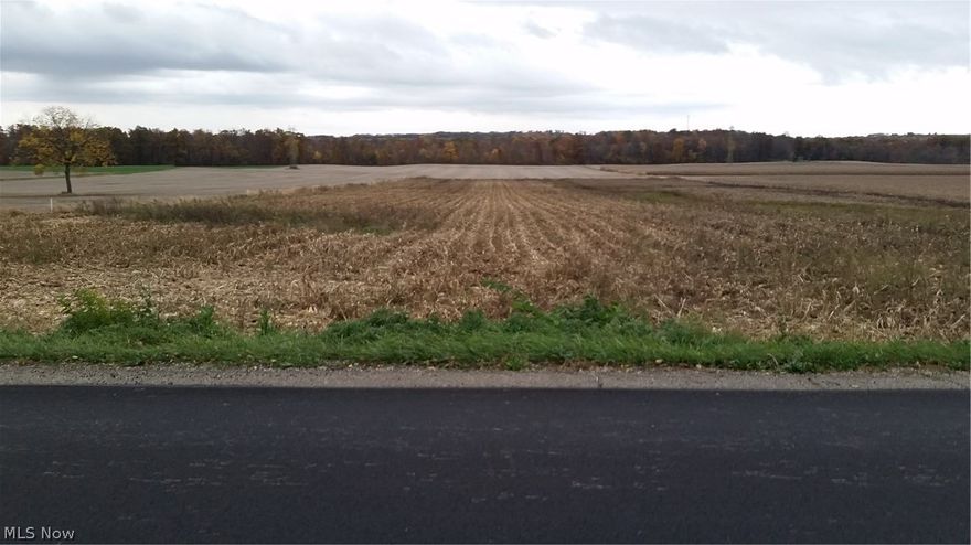 What once was a 4 acre field of corn awaits the plan for your new home. A beautiful area to build the home of your dreams. This nice, level and dimensionally attractive lot offers several options to build a house. This upcoming neighborhood offers all of the privacy of the country but located just minutes from Navarre, Massillon or Canton. The Fairless schools campus is within 7 minutes, making it a great location to raise that growing family of active, involved children. Please contact me prior to walking the property.  I will be happy to meet you on site and discuss your options for this wonderful piece of paradise.