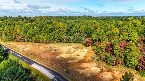 Vacant Land For Sale - Buckeye Ridge Rd Road<br/> Chesterhill, OH 43787