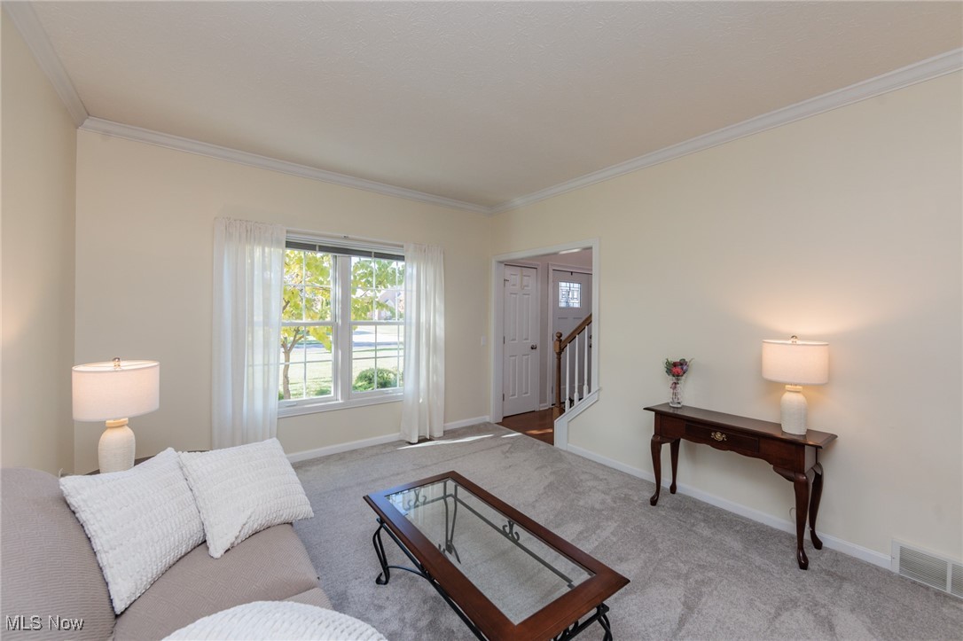 Fox Meadows - Residential