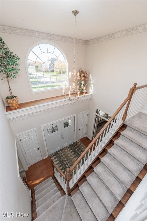 Fox Meadows - Residential