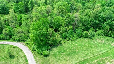 Vacant Land For Sale - 63600 Wintergreen Road<br/> Lore City, OH 43755