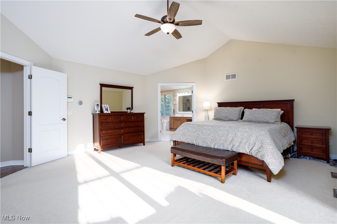 242 Meadow Oaks Trail, Medina, Ohio image 22