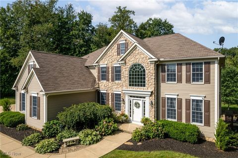242 Meadow Oaks Trail Medina OH 44256