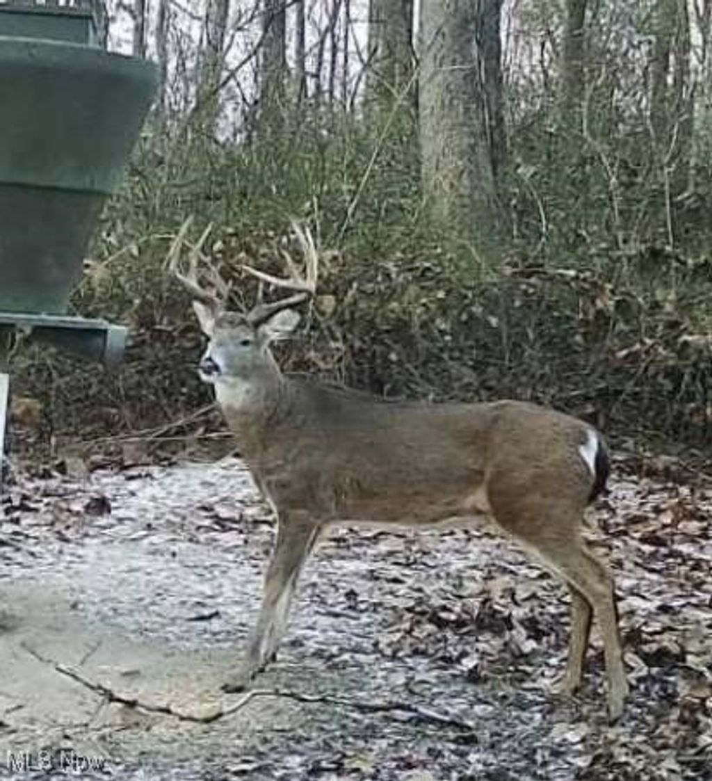 Photo of Township Road 138, Coshocton, OH 43812 (MLS # 5177865)