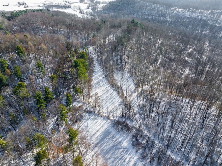 New to the market, this exceptional 78+ acre mostly wooded property in Coshocton County, Ohio offers outstanding hunting opportunities in an area known for producing big bucks. The property features two established hunting blinds with feeders, a well-developed trail system for easy access, multiple food plot areas, a flowing creek, and a pond—providing the ideal combination of cover, food, and water. With abundant deer activity and the added bonus of bordering thousands of acres of state land for expanded hunting access, this beautiful tract is a rare opportunity for the serious outdoorsman—schedule your showing today.