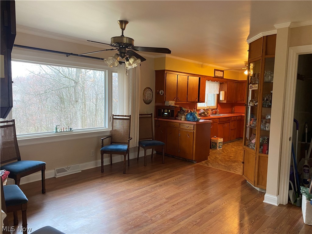 Pine Hills - Residential