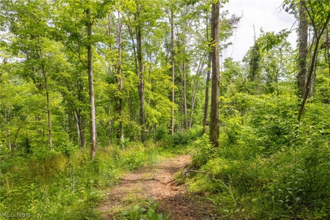 Tiny photo for Kinnen Road, Caldwell, OH 43724 (MLS # 5218526)