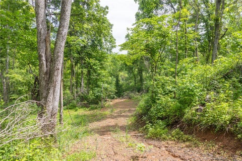 Tiny photo for Kinnen Road, Caldwell, OH 43724 (MLS # 5218526)