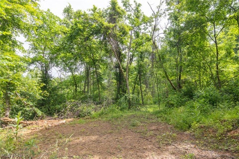 Tiny photo for Kinnen Road, Caldwell, OH 43724 (MLS # 5218526)