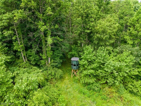 Tiny photo for Kinnen Road, Caldwell, OH 43724 (MLS # 5218526)