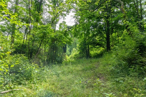 Tiny photo for Kinnen Road, Caldwell, OH 43724 (MLS # 5218526)