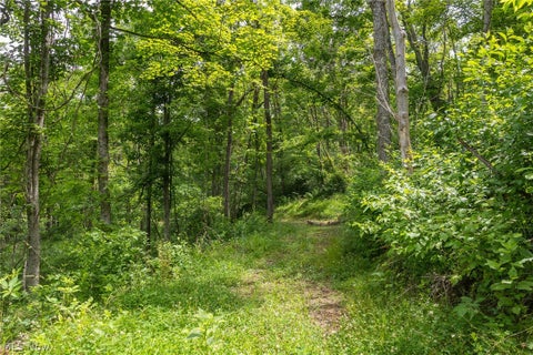 Tiny photo for Kinnen Road, Caldwell, OH 43724 (MLS # 5218526)