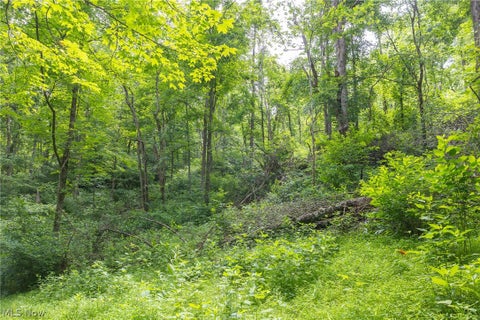 Tiny photo for Kinnen Road, Caldwell, OH 43724 (MLS # 5218526)
