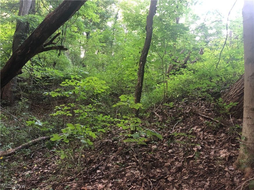 This beautifully wooded piece of property located in Mantua Township is just waiting for your dream home! The rolling landscape common to this area gives the amount of elevation rise and fall ideally suited for a walkout basement if desired. Harvesting the mature trees to prepare for construction would definitely be an option. Imagine your home perched perfectly on a hillside overlooking spectacular country views...why wait!?