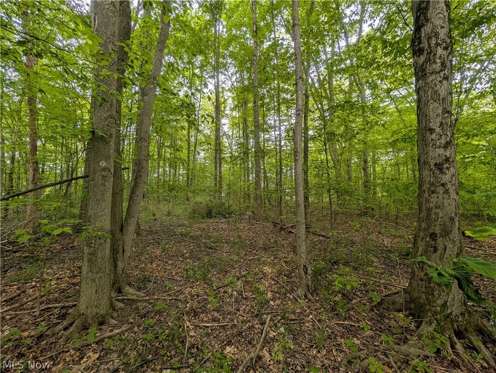 W Western Reserve Road