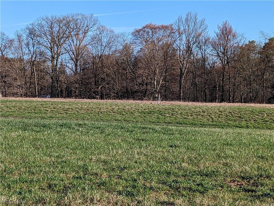 Great opportunity to buy a nice half acre lot with new homes on a cul-de-sac.  The lot has a country feel yet city water and sewer.  In addition, the street has underground utilities.  Choose your favorite builder.  The 13 lots do have deed restrictions which include minimum square footage (1800 for a ranch and 2200 for a two story), 2 car attached garage, no RV parking, and no business or commercial use.  A great place to build your dream home!