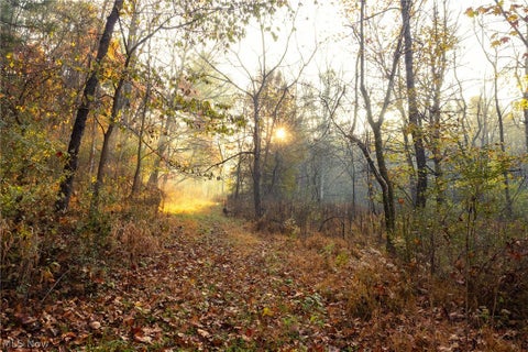 Tiny photo for 1700 Mount Herman Road, Granville, OH 43023 (MLS # 5256325)