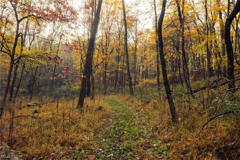 Tiny photo for 1700 Mount Herman Road, Granville, OH 43023 (MLS # 5256325)