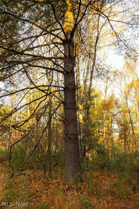 Tiny photo for 1700 Mount Herman Road, Granville, OH 43023 (MLS # 5256325)