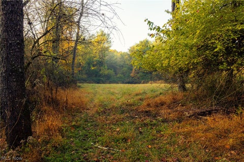 Tiny photo for 1700 Mount Herman Road, Granville, OH 43023 (MLS # 5256325)