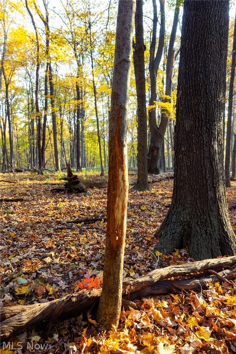 Tiny photo for 1700 Mount Herman Road, Granville, OH 43023 (MLS # 5256325)