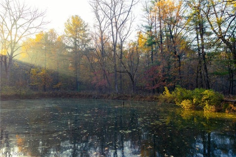 Tiny photo for 1700 Mount Herman Road, Granville, OH 43023 (MLS # 5256325)