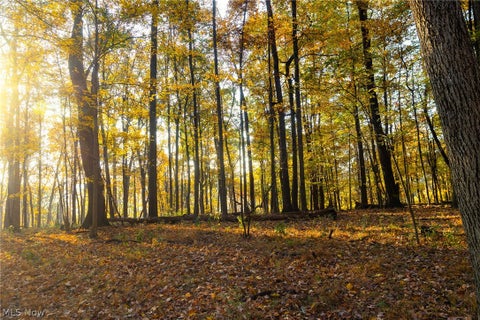 Tiny photo for 1700 Mount Herman Road, Granville, OH 43023 (MLS # 5256325)