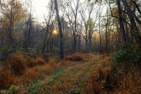 Tiny photo for 1700 Mount Herman Road, Granville, OH 43023 (MLS # 5256325)
