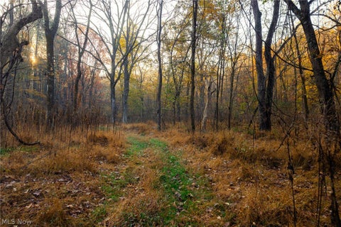 Tiny photo for 1700 Mount Herman Road, Granville, OH 43023 (MLS # 5256325)
