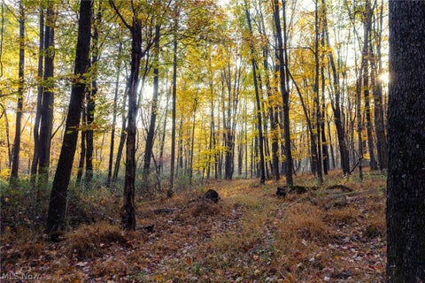 Tiny photo for 1700 Mount Herman Road, Granville, OH 43023 (MLS # 5256325)