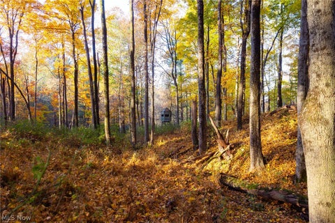 Tiny photo for 1700 Mount Herman Road, Granville, OH 43023 (MLS # 5256325)