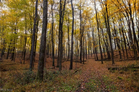 Tiny photo for 1700 Mount Herman Road, Granville, OH 43023 (MLS # 5256325)