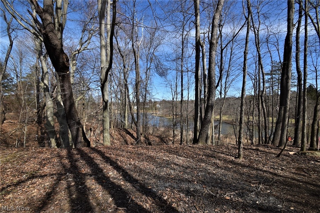 Russell 03 - Residential