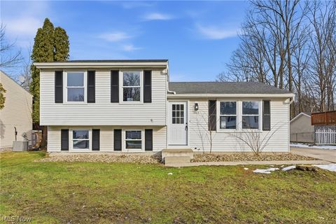 1065 Shadowlawn Drive Ravenna OH 44266