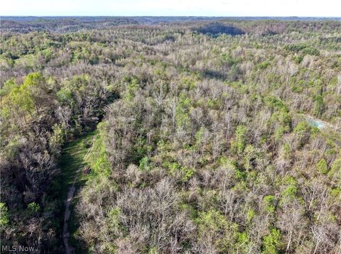 Vacant Land For Sale - Harrons Ridge Road<br/> Dexter City, OH 45727