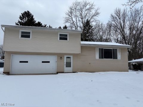 10044 Serene Court Twinsburg OH 44087