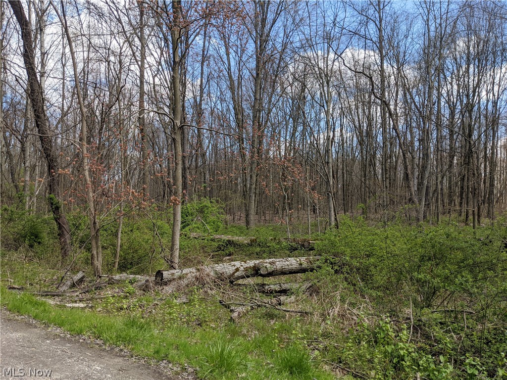 9 lots in Lake Milton Estates consisting of 1.232 Acres. 1.007 Acres on Rochester Dr. with 280 ft. of frontage. Two 40 ft. lots on Salem Drive that join the other lots in the back. Lake Dock privelgaes. HOA Boat Launch area. Restriction available upon request.
