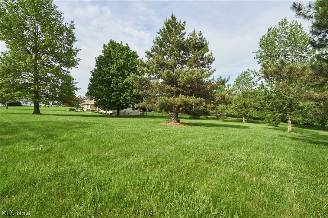 Oak Leaf - Residential