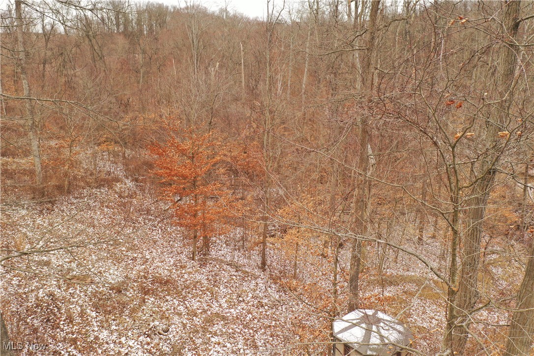 Clendening Lake Rd., Freeport, Ohio image 10