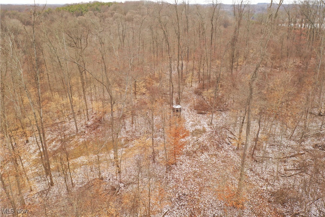 Clendening Lake Rd., Freeport, Ohio image 1