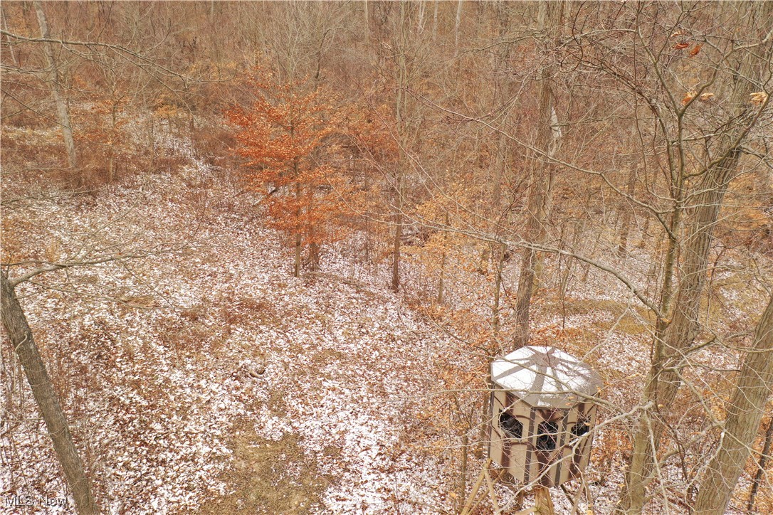 Clendening Lake Rd., Freeport, Ohio image 11