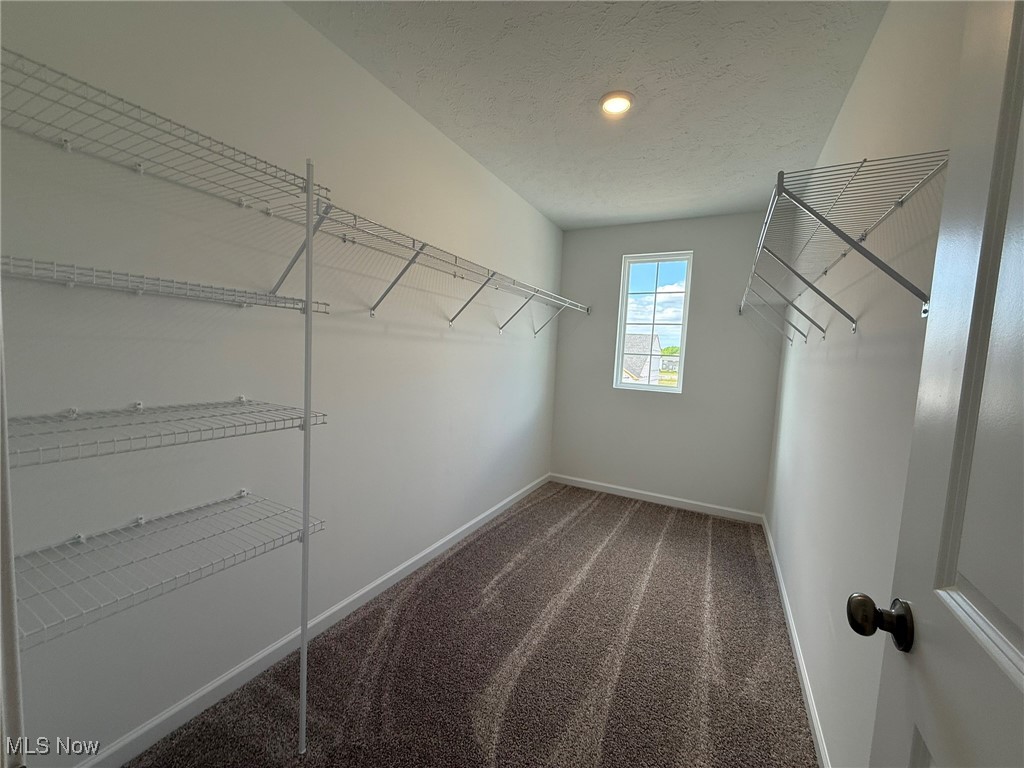 23669 Wallys Way, Columbia Station, Ohio image 8