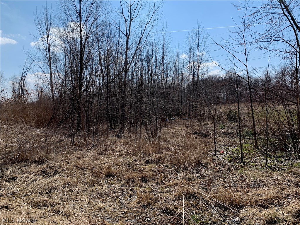 Property consists of 5 lots (4 facing Pearl Avenue; 1 facing Maple Road but all are connected). Zoned Light Industrial 1. Utilities and Public Water/Sewer all at the street. Easy access to highways.