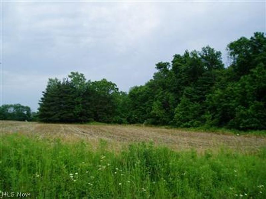 Looking For Peace In The Country?  Minutes From Rt. 83, and a nice setting. Bring Your Builder.